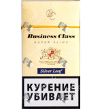 Business Class Silver Leaf SS