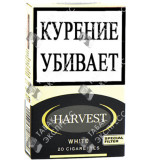 Harvest White