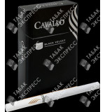 Cavallo Black Velvet